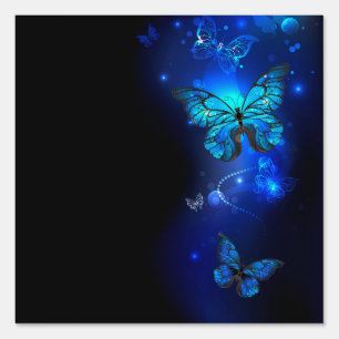 Morpho Butterfly in the Dark Background Sign