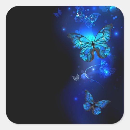 Morpho Butterfly in the Dark Background Square Sticker