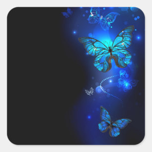 Morpho Butterfly in the Dark Background Square Sticker