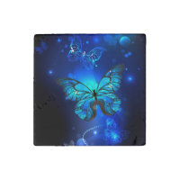 Morpho Butterfly in the Dark Background