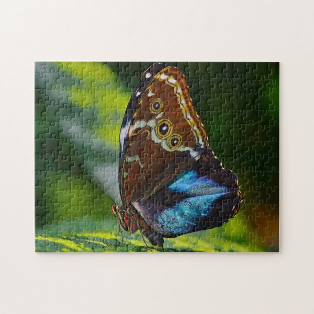 Morpho Peleides Butterfly. Jigsaw Puzzle (Horizontal)