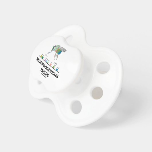 Morphogenesis Inside Drosophila Fruit Fly Genes Pacifier (Front Right)