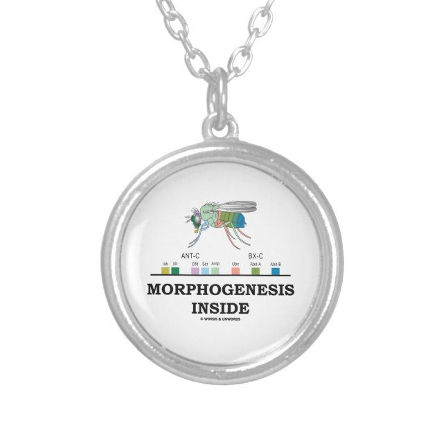 Morphogenesis Inside Drosophila Fruit Fly Genes Silver Plated Necklace (Front)