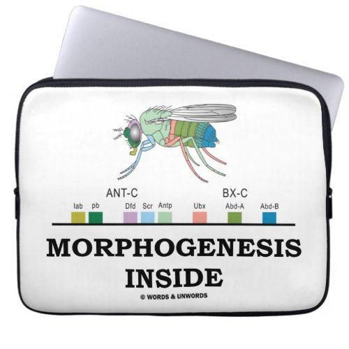 Morphogenesis Inside Drosophila Homeobox Genes Laptop Sleeve
