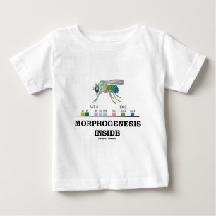 Morphogenesis Inside (Fruit Fly Drosophila Genes) Baby T-Shirt