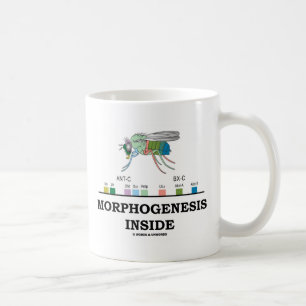 Morphogenesis Inside (Fruit Fly Drosophila Genes) Coffee Mug