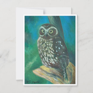 Morpork Owl Post Card