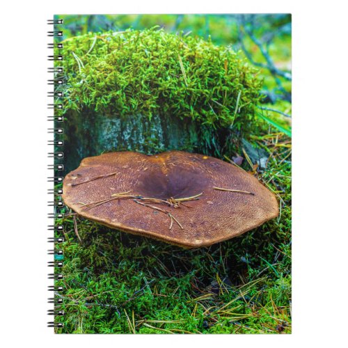 Morrel mushroom green nature grass notebook