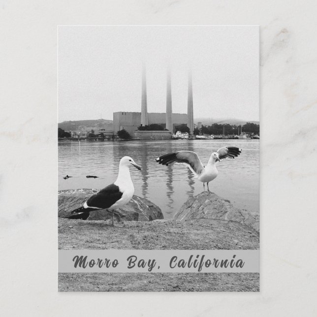 Morro Bay in Black & White Postcard (Front)