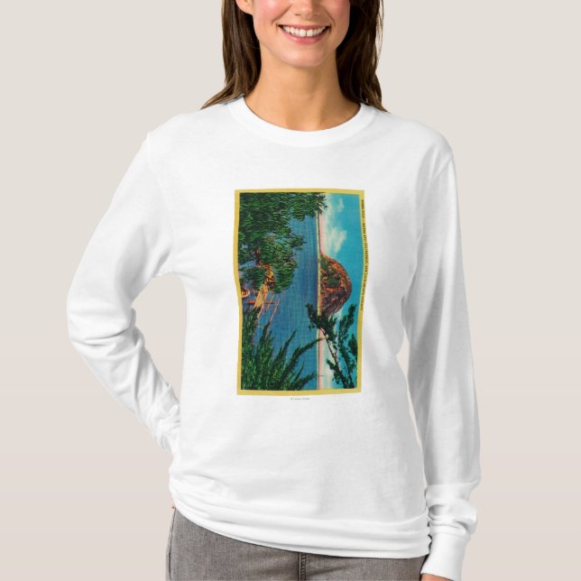 Morro Rock in San Luis Obispo County T-Shirt (Front)