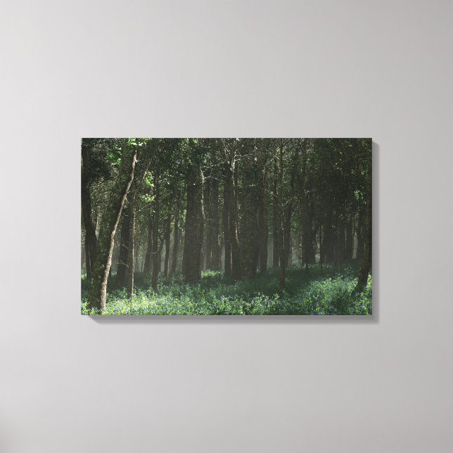 Morrow Grove (Spring) Canvas Print (Front)