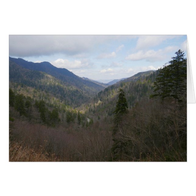 Morton Overlook at Great Smoky Mountains (Front Horizontal)