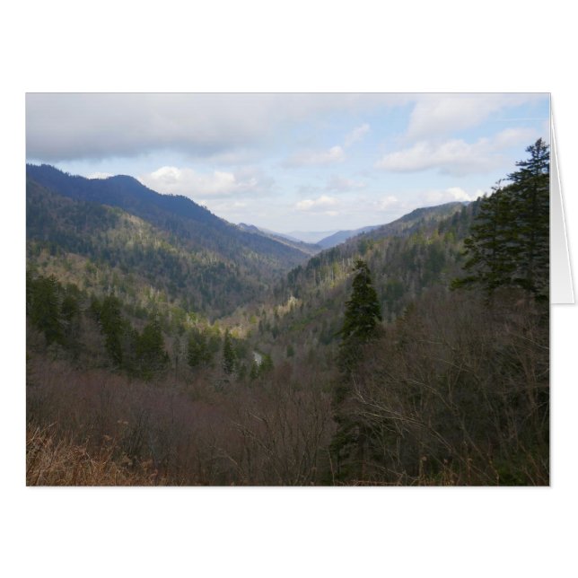 Morton Overlook at Great Smoky Mountains Card (Front Horizontal)