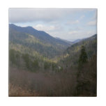 Morton Overlook at Great Smoky Mountains Ceramic Tile