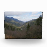 Morton Overlook at Great Smoky Mountains Photo Block