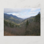 Morton Overlook at Great Smoky Mountains Postcard