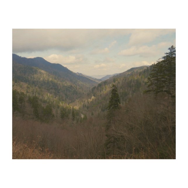 Morton Overlook at Great Smoky Mountains Wood Wall Art (Front)