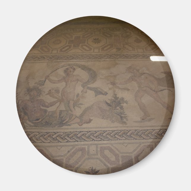 mosaic 6 magnet (Front)