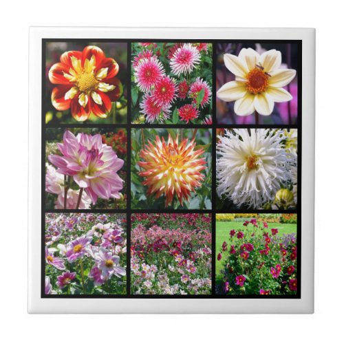 Mosaic dahlia flowers ceramic tile