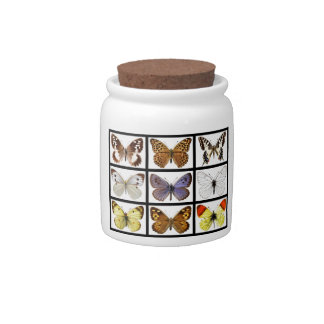 Mosaic photos of butterflies candy jar