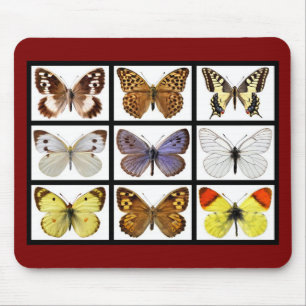 Mosaic photos of butterflies mouse pad