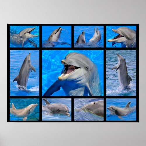 Mosaic photos of dolphins poster