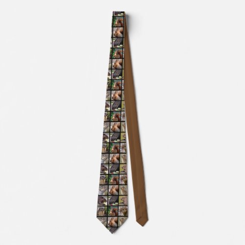 Mosaic photos of rodents neck tie