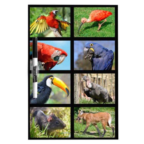 mosaic photos South American animals Dry Erase Board