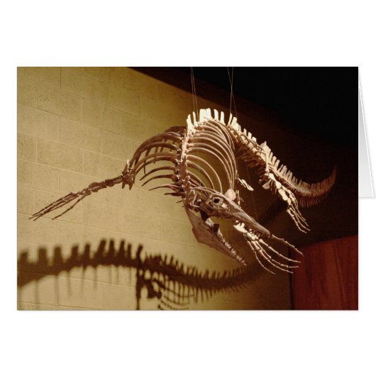 Mosasaur - "Sea Lizard" Cards (Front Horizontal)