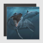 Mosasaurus chasing shark photography (Front/Back)