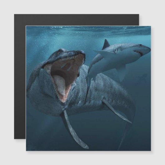 Mosasaurus chasing shark photography (Front/Back)