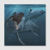 Mosasaurus chasing shark photography (Front)
