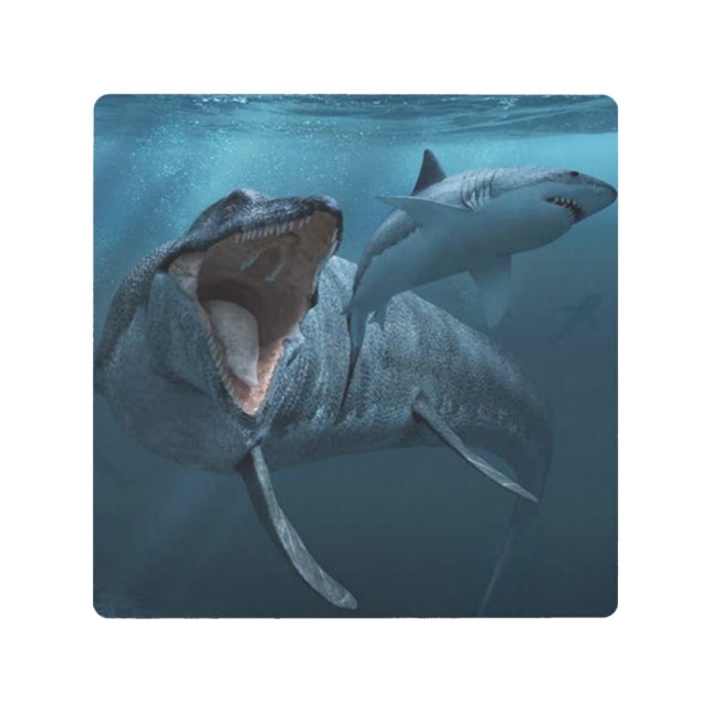 Mosasaurus chasing shark poster acrylic print (Front)