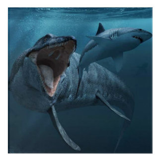 Mosasaurus chasing shark poster acrylic print