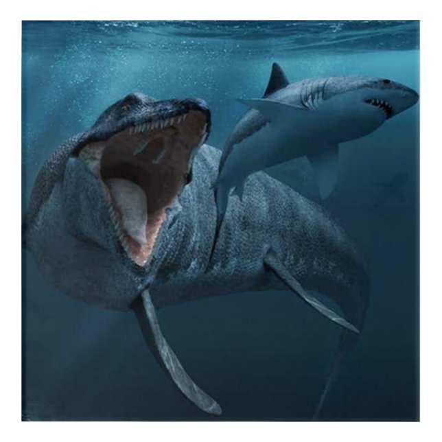 Mosasaurus chasing shark poster acrylic print (Front)