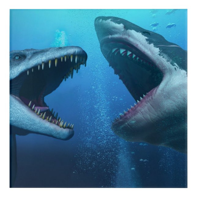 Mosasaurus versus megalodon acrylic print (Front)