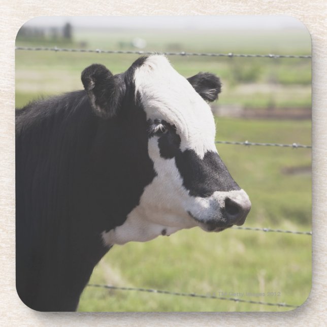 Moseleigh, Alberta, Canada Coaster (Front)