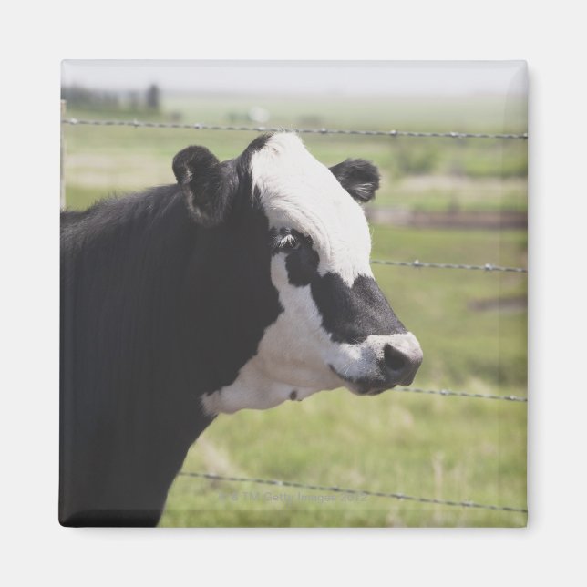 Moseleigh, Alberta, Canada Magnet (Front)