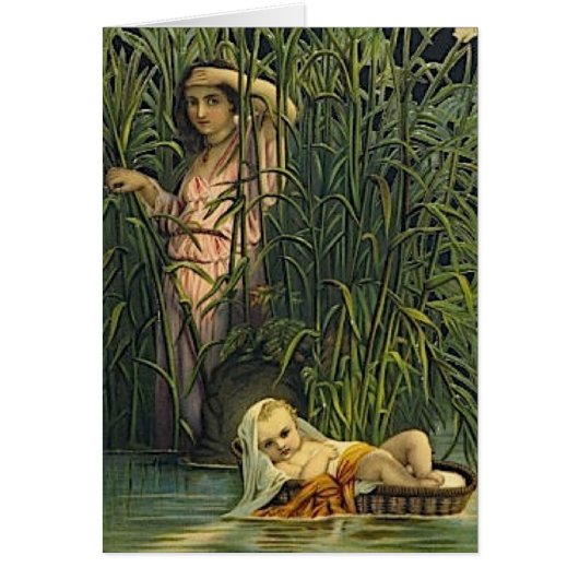 Moses Cards (Front)