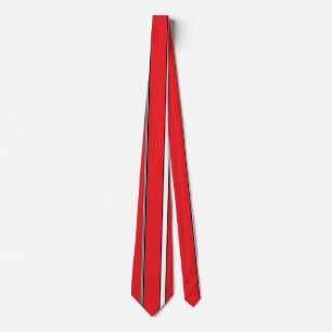 Moses Hebrew Tie