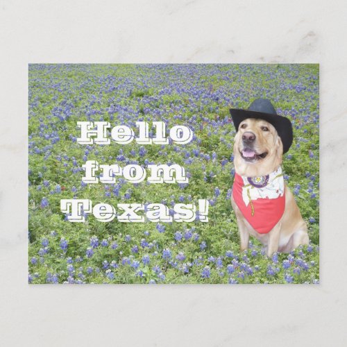 Moses in Bluebonnets Postcard