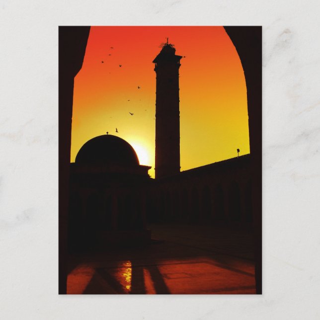 Mosque in Sunset, Damascus, Syria Postcard (Front)