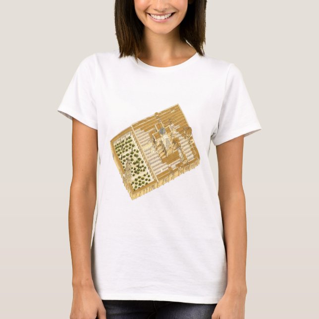 Mosque of Cordoba Spain. Aerial view T-Shirt (Front)