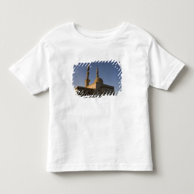 Mosque of Hamza, Suez, South Sinai, Egypt Toddler T-shirt (Front)