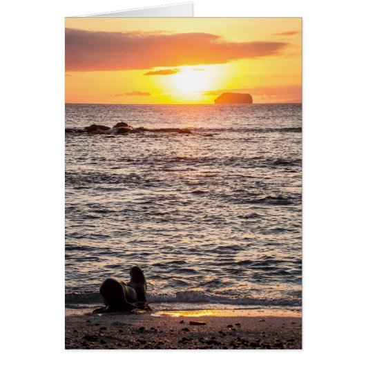 Mosquera Islet Sunset Cards (Front)