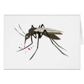 Mosquito (Front Horizontal)