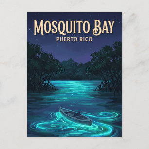 Mosquito Bay Vieques Puerto Rico Postcard
