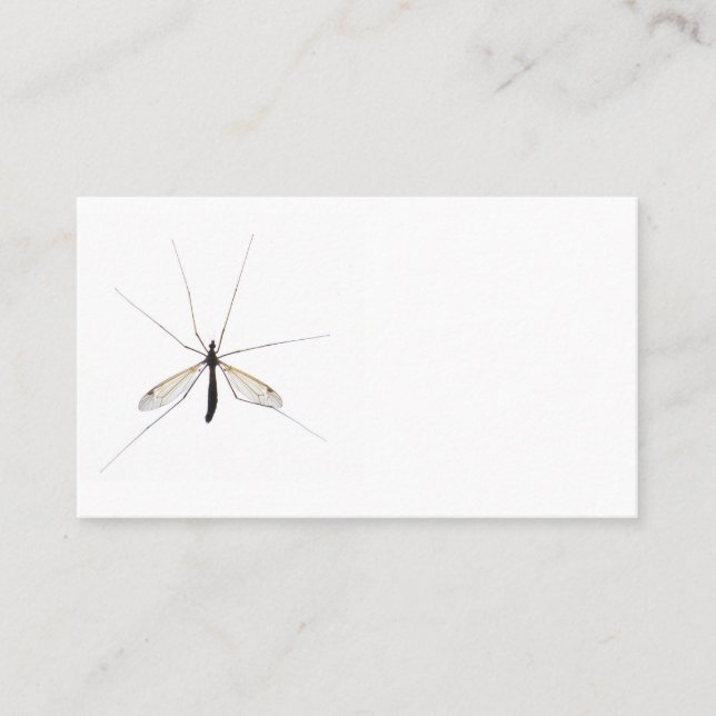 Mosquito Business Card (Front)