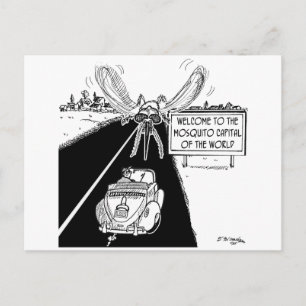 Mosquito Capital of the World Postcard
