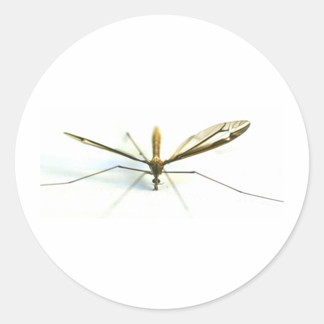 mosquito classic round sticker (Front)